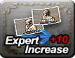 Expert Increase +10 Item Pack x20