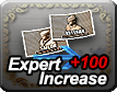 Expert Increase +100 Item Pack x2